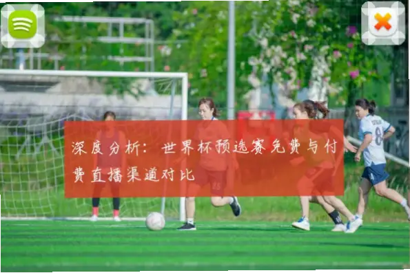 世界杯哪里看？免费与付费渠道稳定性对比